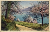 Carte postale Bords-du-Leman - Suisse