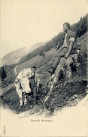 Carte postale Dans-les-Montagnes - Suisse
