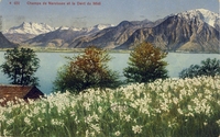 Carte postale Dents-du-Midi - Suisse