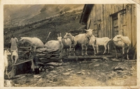 Carte postale Les-diablerets - Suisse