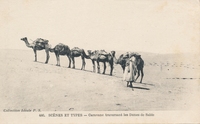 Carte postale Scenes-et-Types - Tunisie