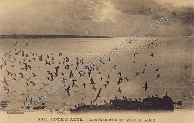 Carte postale ancienne Cote d'Azur — Non Localisée (Alpes-Maritimes)