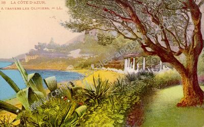 Carte postale ancienne Cote d'Azur — Non Localisée (Alpes-Maritimes)