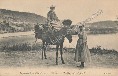 Carte postale ancienne Cote d'Azur — Non Localisée (Alpes-Maritimes)