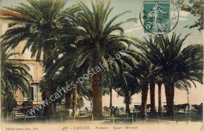 Carte postale ancienne Palmiers - Square Mérimée — Cannes (Alpes-Maritimes)
