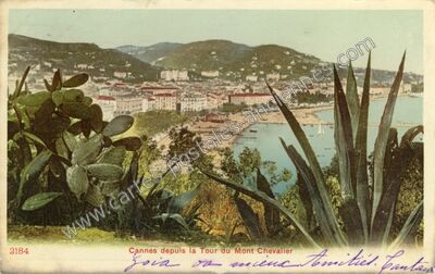 Carte postale ancienne Cannes depuis la Tour du Mont Chevalier — Cannes (Alpes-Maritimes)