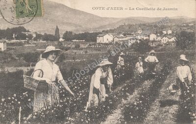 Carte postale ancienne Cote d'Azur — Grasse (Alpes-Maritimes)