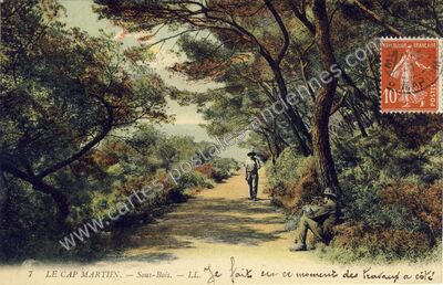 Carte postale ancienne Cap Martin — Roquebrune-Cap-Martin (Alpes-Maritimes)