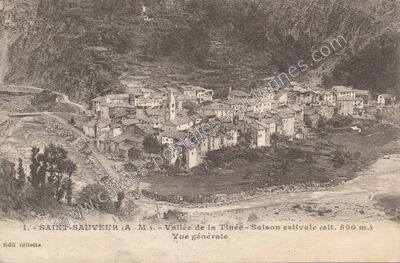 Carte postale ancienne Saint-Sauveur-sur-Tinée