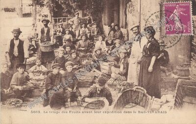 Carte postale ancienne Bas Vivarais — Non Localisée (Ardèche)