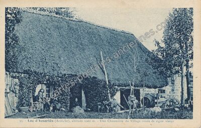 Carte postale ancienne Altitude 1000 m. - Une Chaumière du Village ornée de vigne vierge — Le Lac-d'Issarlès (Ardèche)