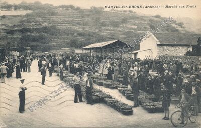 Carte postale ancienne Mauves sur Rhone — Mauves (Ardèche)