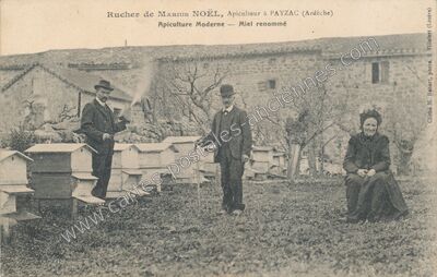 Carte postale ancienne Rucher de Marius Noël, Apiculteur — Payzac (Ardèche)