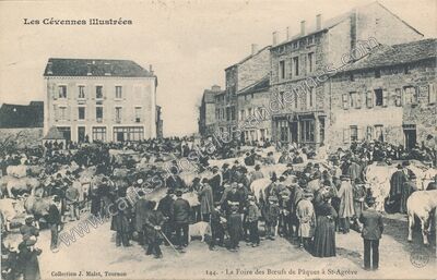 Carte postale ancienne La Foire des Bœufs de Pâques — Saint-Agrève (Ardèche)