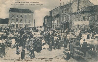 Carte postale ancienne La Foire des bœufs gras — Saint-Agrève (Ardèche)