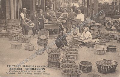 Carte postale ancienne Fruits et primeurs en gros — Tournon-sur-Rhône (Ardèche)