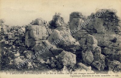 Carte postale ancienne Bois de Paiolive — Les Vans (Ardèche)