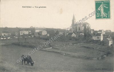 Carte postale ancienne Vue générale — Naussac (Aveyron)