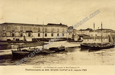 Carte postale ancienne Le Château où naquit le Roi François Ier / Établissements de MM — Cognac (Charente)