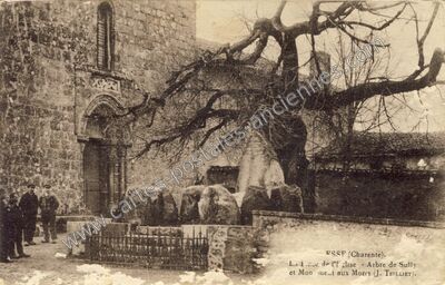 Carte postale ancienne La Place de l'Eglise - Arbre de Sully et Monument aux Morts — Esse (Charente)