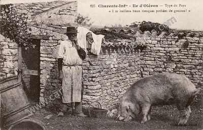 Carte postale ancienne Ile d'Oleron — Non Localisée (Charente-Maritime)