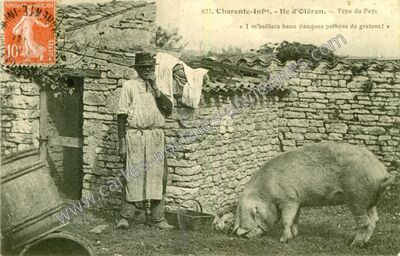 Carte postale ancienne Ile d'Oleron — Non Localisée (Charente-Maritime)