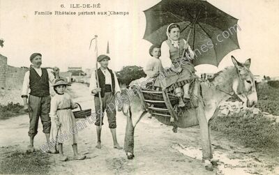 Carte postale ancienne Ile de Re — Non Localisée (Charente-Maritime)