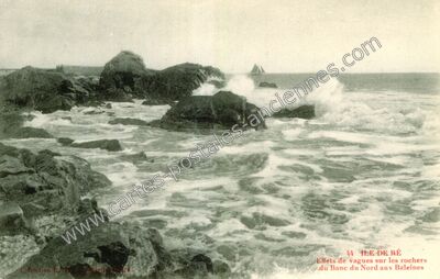 Carte postale ancienne Ile de Re — Non Localisée (Charente-Maritime)