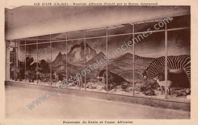 Carte postale ancienne Muséum Africain (Fondé par le Baron Gourgaud) — Île-d'Aix (Charente-Maritime)