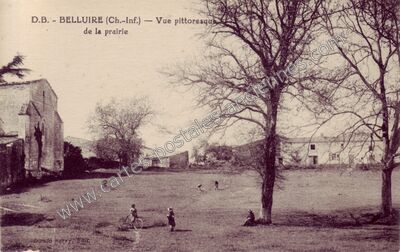 Carte postale ancienne Vue pittoresque de la prairie — Belluire (Charente-Maritime)