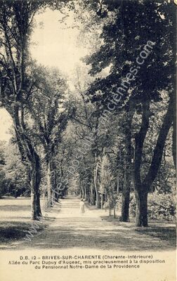 Carte postale ancienne Allée du Parc Dupuy d'Augeac — Brives-sur-Charente (Charente-Maritime)