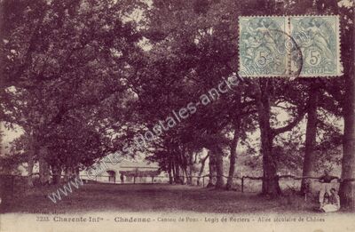 Carte postale ancienne Logis de Roziers - Allée séculaire de Chênes — Chadenac (Charente-Maritime)