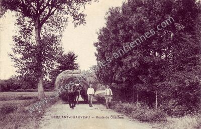 Carte postale ancienne Beillant Chauveau — Chaniers (Charente-Maritime)