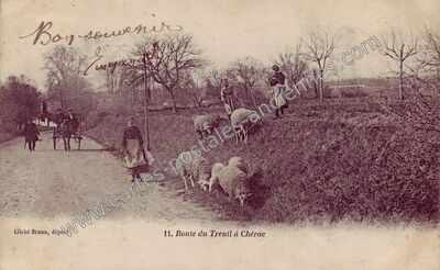 Carte postale ancienne Route du Treuil à Chérac — Chérac (Charente-Maritime)