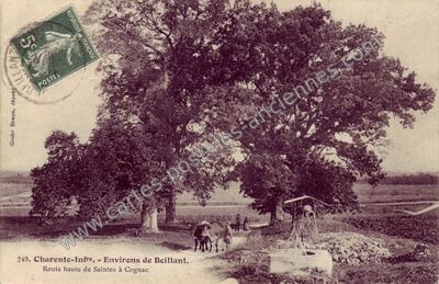 Carte postale ancienne Environs de Beillant. Route haute de Saintes à Cognac — Chérac (Charente-Maritime)