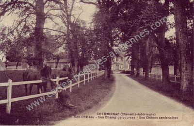 Carte postale ancienne Son Château - Son Champ de courses - Ses Chênes centenaires — Chermignac (Charente-Maritime)
