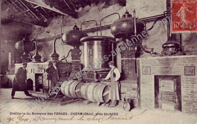 Carte postale ancienne Distillerie du Domaine des FORGES — Chermignac (Charente-Maritime)