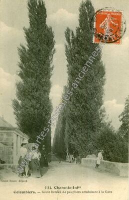 Carte postale ancienne Route bordée de peupliers conduisant à la Gare — Colombiers (Charente-Maritime)