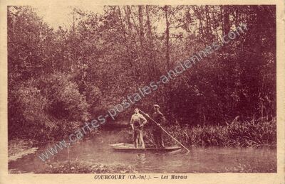 Carte postale ancienne Les Marais — Courcoury (Charente-Maritime)