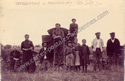Carte postale ancienne Vendanges — Courcoury (Charente-Maritime)