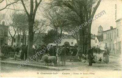 Carte postale ancienne Champ de Foire d'Hiver — Cozes (Charente-Maritime)
