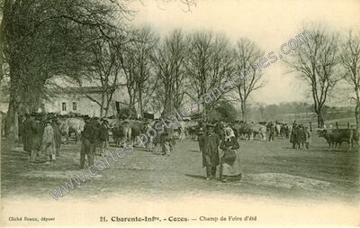 Carte postale ancienne Champ de Foire d'été — Cozes (Charente-Maritime)