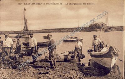 Carte postale ancienne Etablissements ostréicoles - Le chargement des huîtres — L'Éguille (Charente-Maritime)