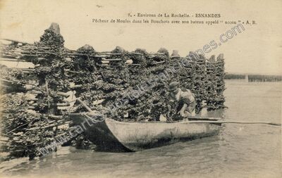 Carte postale ancienne Esnandes
