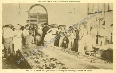 Carte postale ancienne A la criée aux poissons — Quelques belles planches de Soles — Fouras (Charente-Maritime)
