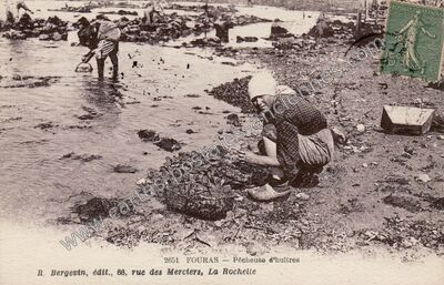 Carte postale ancienne Pêcheuse d'huitres — Fouras (Charente-Maritime)