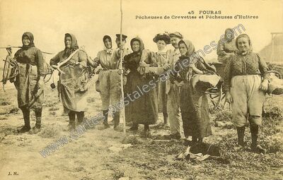 Carte postale ancienne Pêcheuses de Crevettes et Pêcheuses d'Huitres — Fouras (Charente-Maritime)