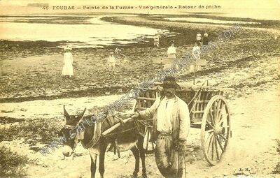 Carte postale ancienne Pointe de la Fumée - Vue générale - Retour de pêche — Fouras (Charente-Maritime)