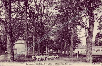 Carte postale ancienne Allée du Château de Bernessard — Gémozac (Charente-Maritime)