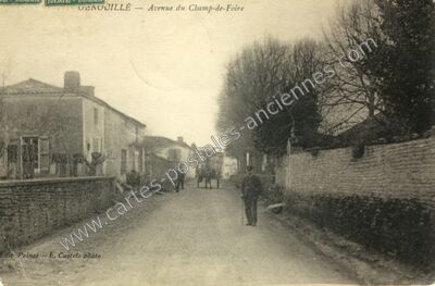Carte postale ancienne Avenue du Champ-de-Foire — Genouillé (Charente-Maritime)